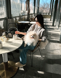 ��ǰ ������